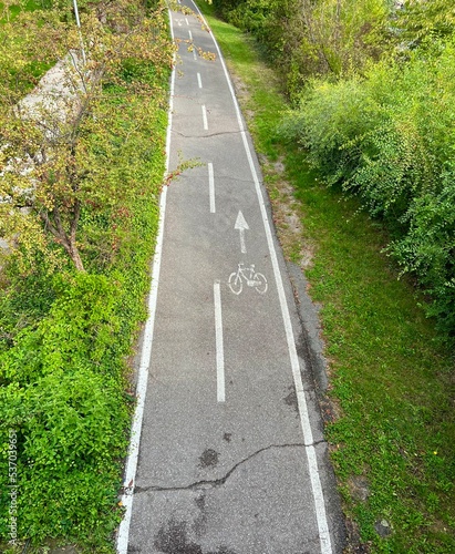 Wallpaper Mural road in the forest Torontodigital.ca