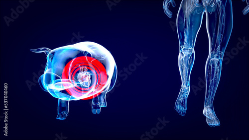 Abstract 3D illustration of a pig heart transplantation.