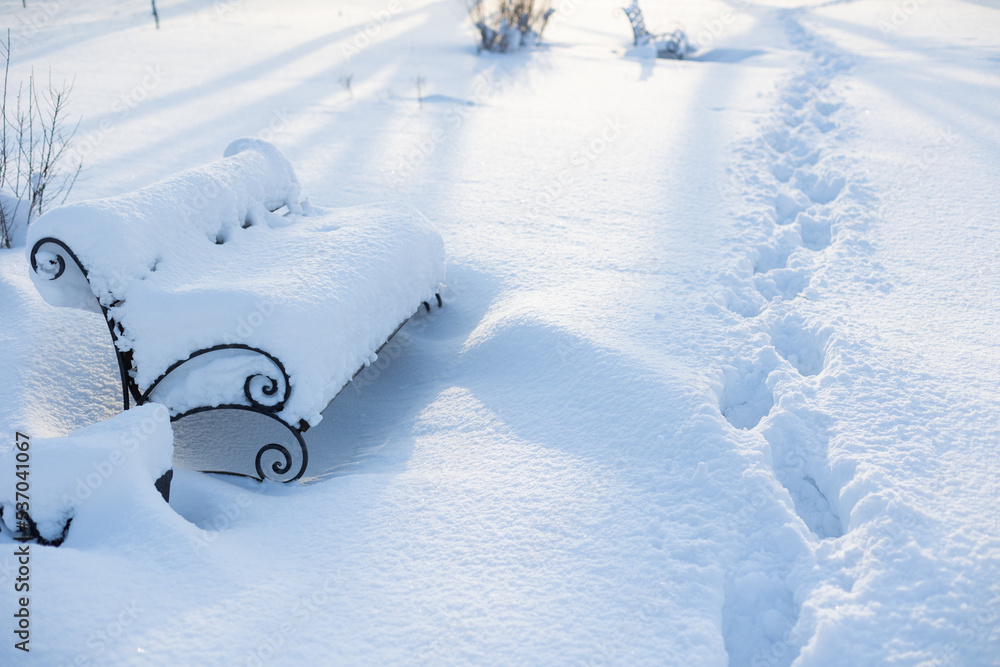 Snow-covered benches in the city park. Well-trodden paths. Selective focus. Snow-covered benches in the city park. Well-trodden paths. Selective focus.