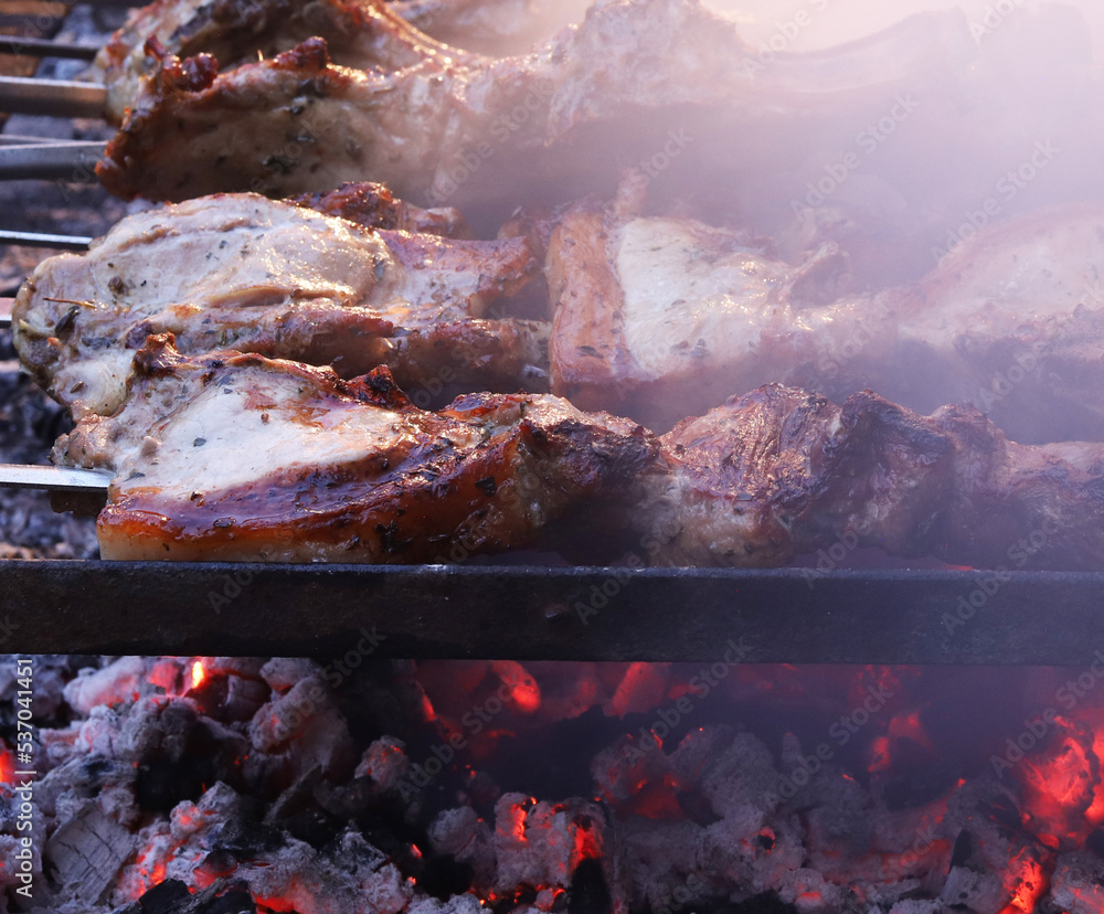 Beautiful pieces of fried pork on the grill. Shallow depth of field Beautiful pieces of fried pork on the grill. Shallow depth of field