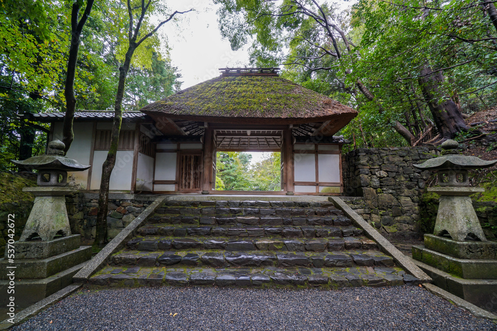 雨上がりの安楽寺山門 京都市