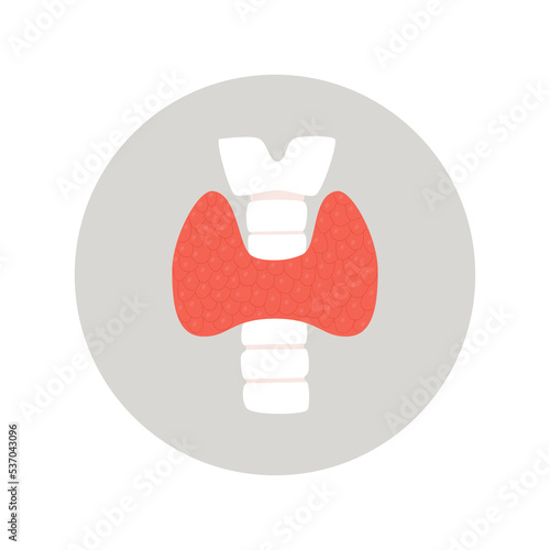 Thyroid gland, endocrinology system symbol, organ responsible for hormone production. Flat vector isolated illustration