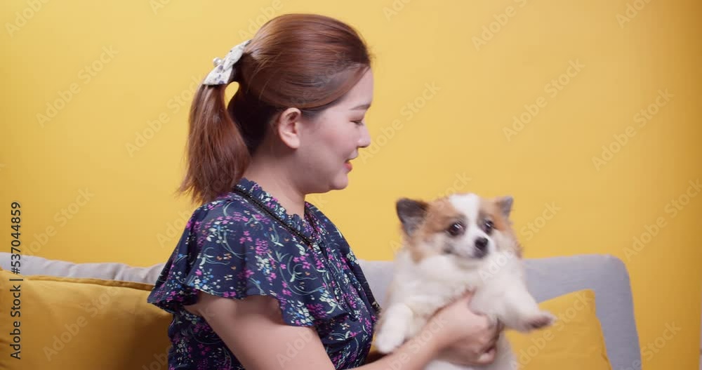 Asian women play with puppy pets hold a dog on the sofa or couch rest relaxed lifestyle and comfort at the home concept in studio yellow background Asian women play with puppy pets hold a dog on the sofa or couch rest relaxed lifestyle and comfort at the home concept in studio yellow background