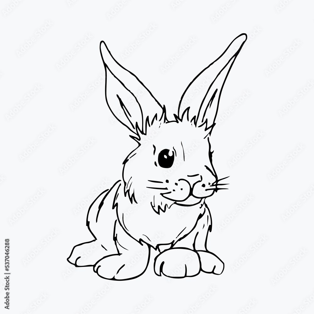 Fototapeta premium Cute hand draw small rabbit . Illustration of bunny
