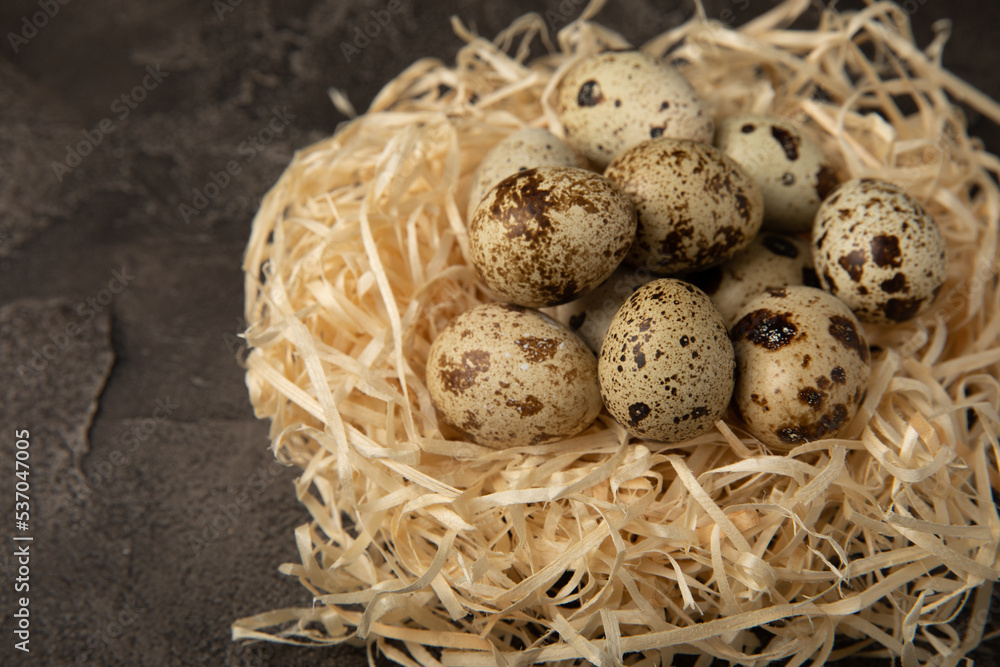 Obraz premium Quail eggs in a nest on a black texture background. Whole and broken quail eggs. Natural products. Place for text. Fresh quail eggs. Protein. Calcium.