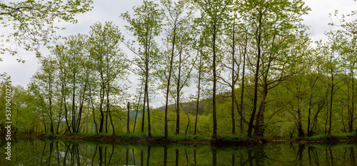 Kazandere woodland, Kiyikoy, Vize photo