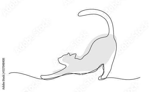 A cat stretching on a white background. Line art vector illustration