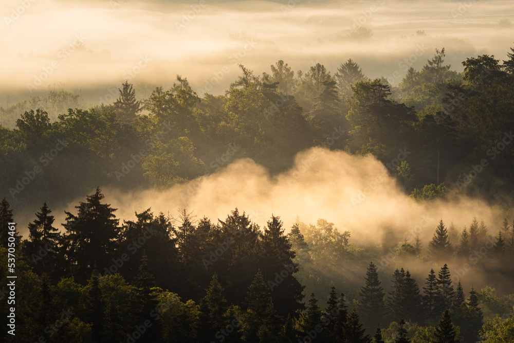 fog in a valley in the landscape of Hrbuboskalsk in the Czech Republic. Photographed in the summer. mist creeps around the trees and woods just after sunrise fog in a valley in the landscape of Hrbuboskalsk in the Czech Republic. Photographed in the summer. mist creeps around the trees and woods just after sunrise