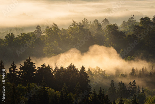 fog in a valley in the landscape of Hrbuboskalsk in the Czech Republic. Photographed in the summer. mist creeps around the trees and woods just after sunrise