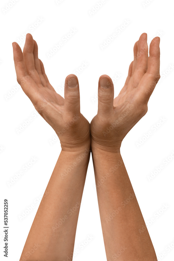 Obraz premium Gesture series: hands catch symbolically.