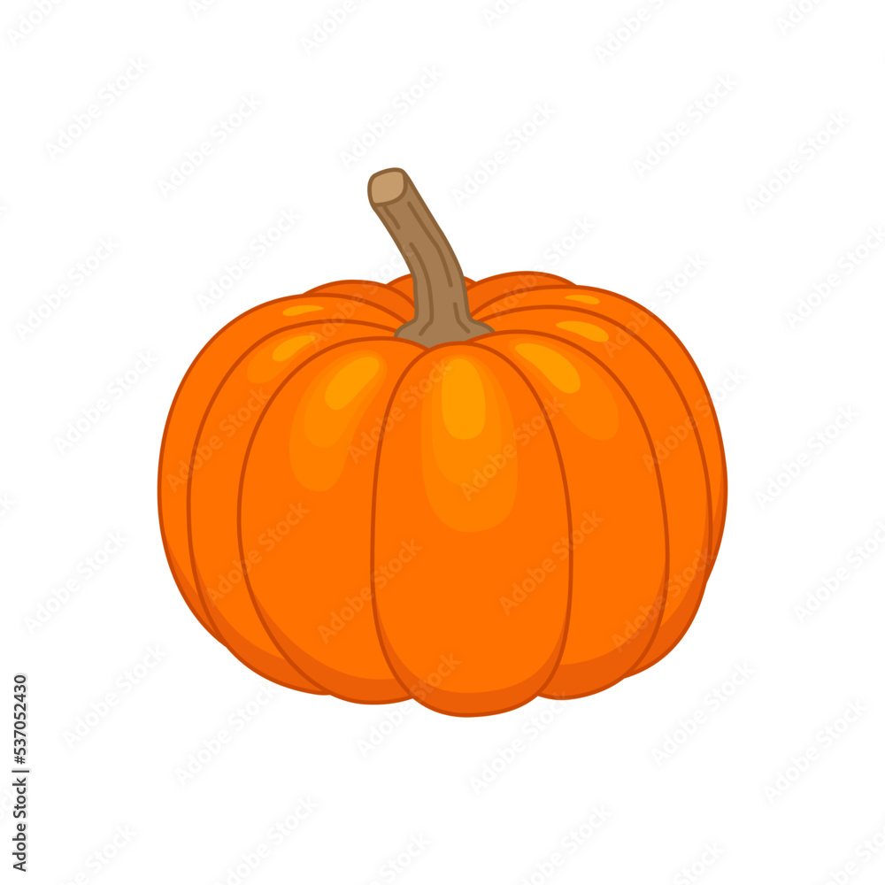Obraz premium Pumpkin.Color vector illustration in cartoon flat style. Isolated on white background.