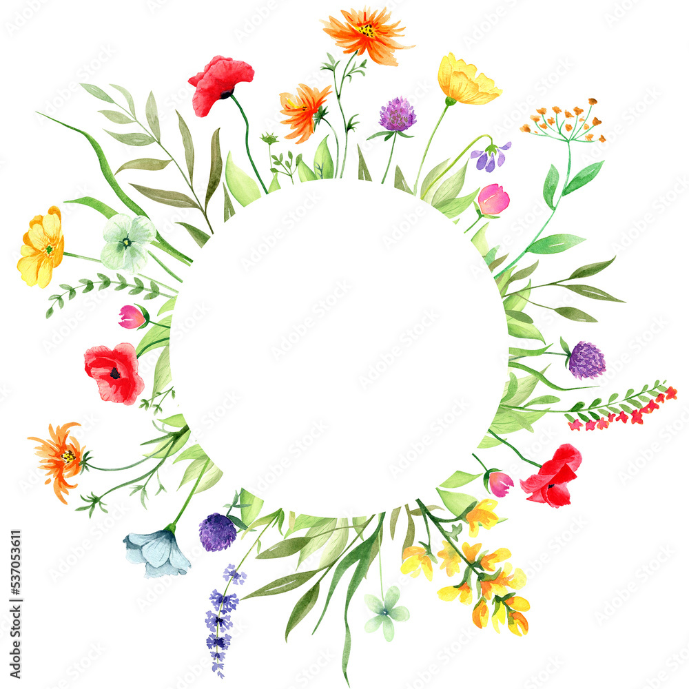 Watercolor circle frame with wild flowers and leaves, isolated on transparent background