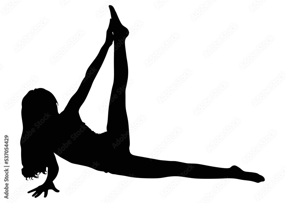 Fototapeta premium fitness woman doing exercise, vector