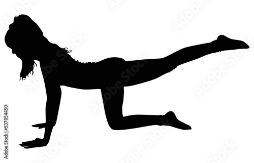 fitness woman doing exercise, vector