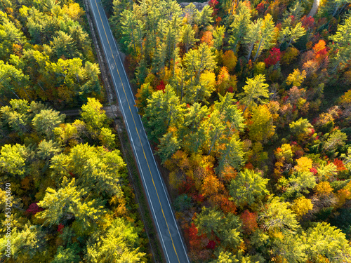 aerial view of country road in colorful autumn forest