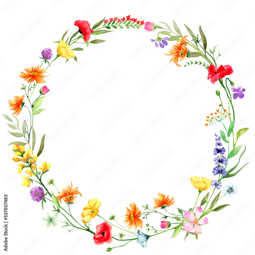 Watercolor frame of flowers and leaves, isolated on transparent background