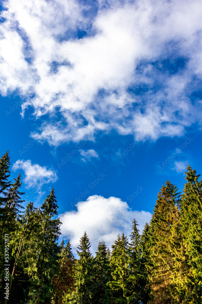 Spaziergang zum Aussichtspunkt am Kickelhahn bei Ilmenau - Thüringen - Deutschland Spaziergang zum Aussichtspunkt am Kickelhahn bei Ilmenau - Thüringen - Deutschland