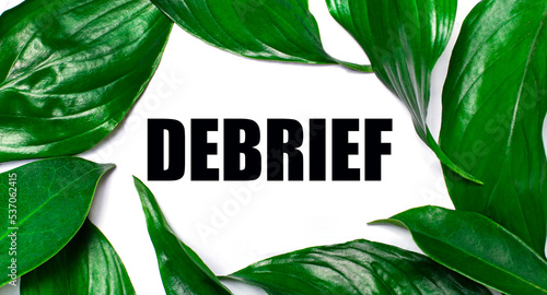 Against the background of green natural leaves, a white card with the text DEBRIEF