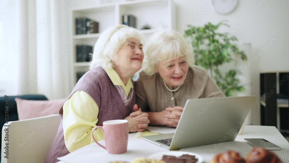 Two women in their 60s having online video call, communication with children Two women in their 60s having online video call, communication with children