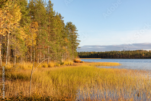 Autumn in a eutrophic lake photo