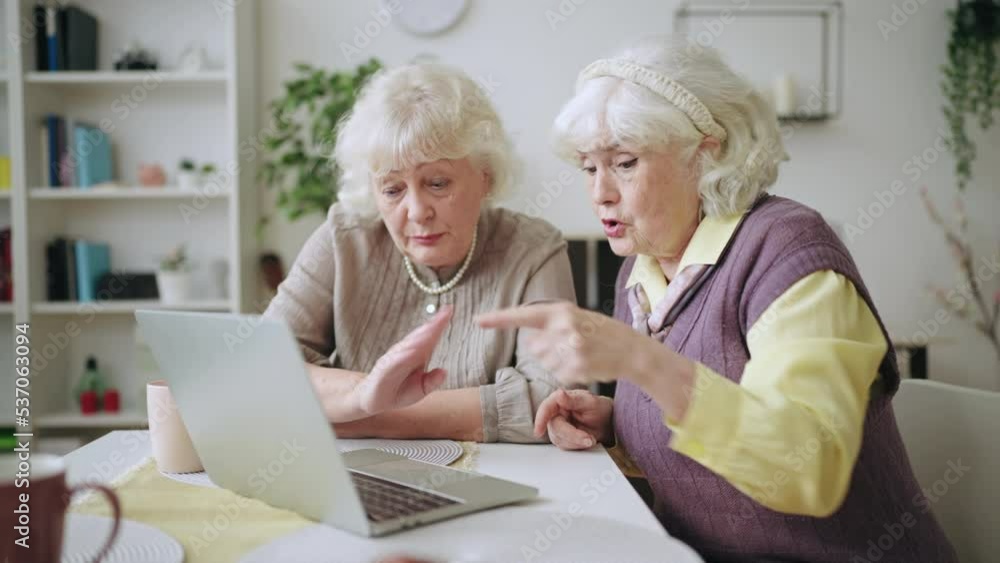 Senior women having difficulties with a laptop, learning modern technologies Senior women having difficulties with a laptop, learning modern technologies