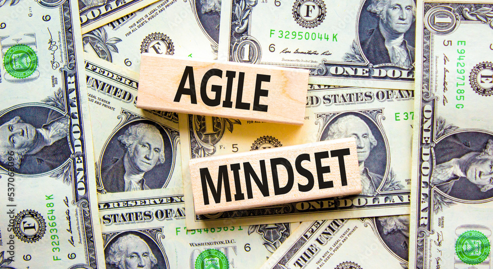 Agile mindset symbol. Concept words Agile mindset on wooden blocks. Beautiful background from dollar bills. Business flexible and agile mindset concept. Copy space.