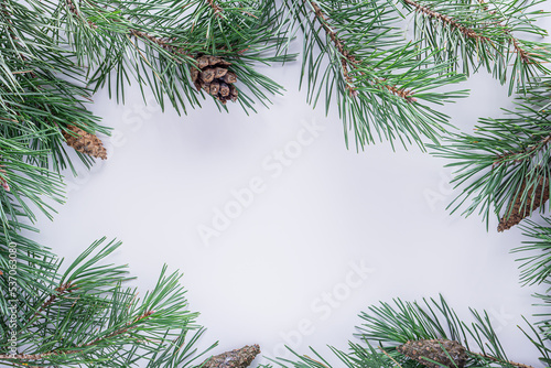 Christmas white background with fir branches. Frame made of fir tree branches with copy space.