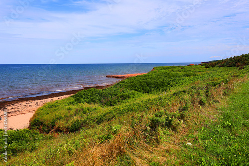 Landscape in summer in Prince Edwards Island