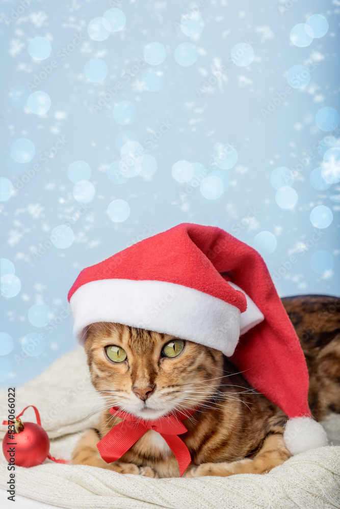 Ginger cat in Santa hat and Christmas decorations isolated on background. Ginger cat in Santa hat and Christmas decorations isolated on background.