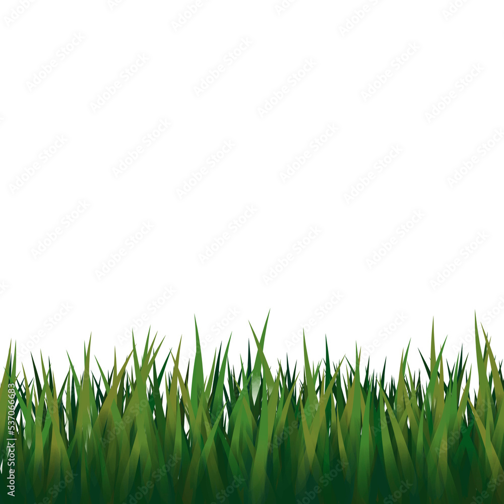 Obraz premium green grass isolated on transparent background