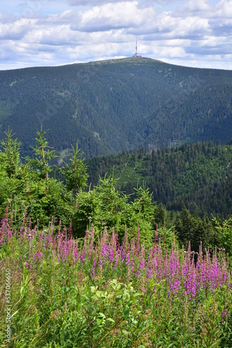 View from Dlouhe Strane of Praded peak, Hruby Jesenik, Jeseniky Mountains