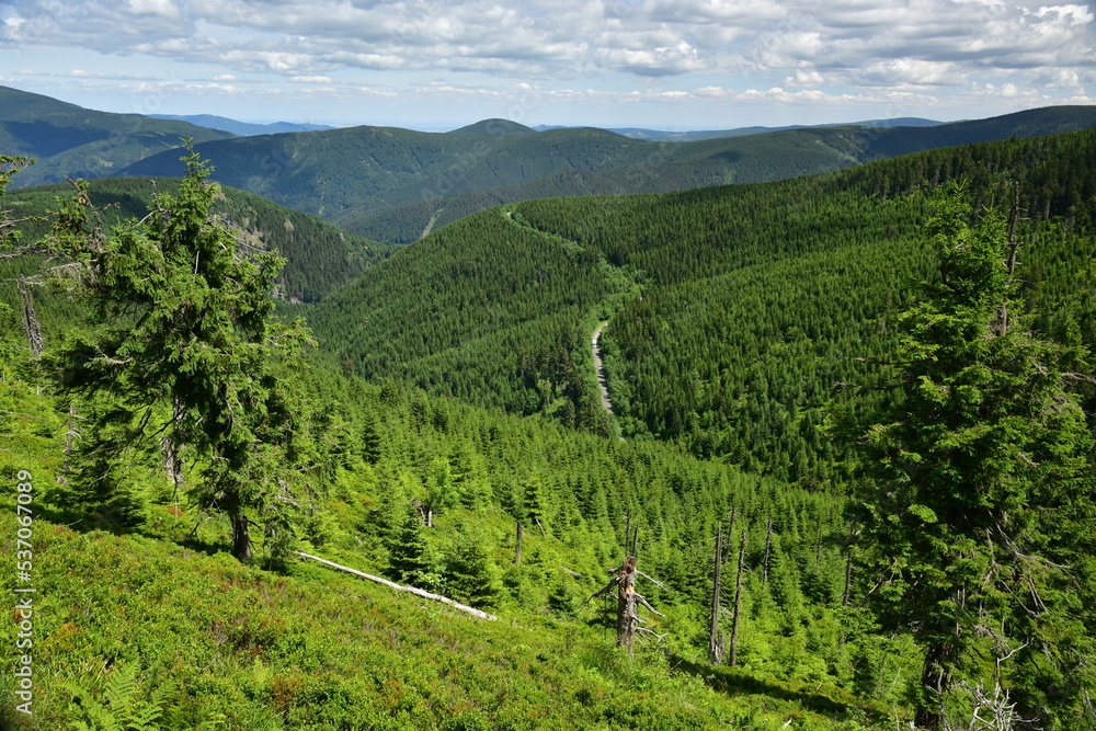 Views of Hruby Jesenik, Jeseniky Mountains