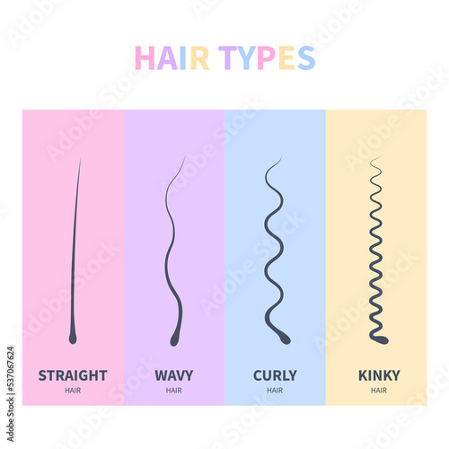 Straight, wavy, curly, kinky hair types classification system set. Detailed human hair growth style chart. Health care and beauty concept. Vector illustration.