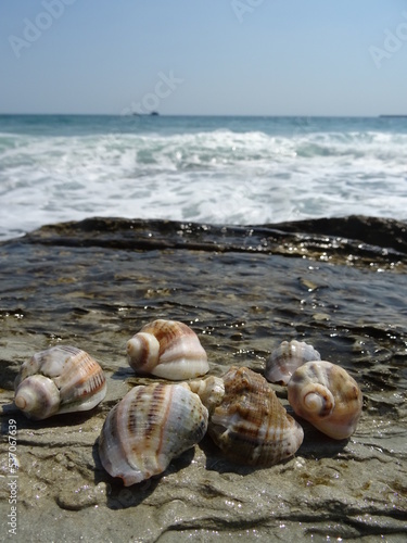 Nice summer view from Varna in Bulgaria 