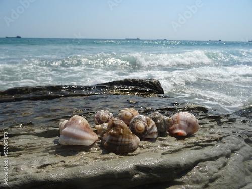 Nice summer view from Varna in Bulgaria 