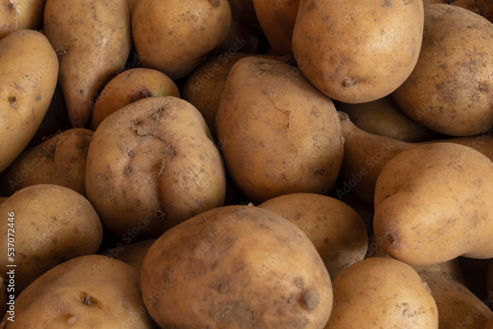 Pile of typical potatoes from Latin America Pile of typical potatoes from Latin America