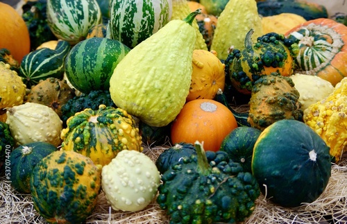 Photography Small pumpkins and gourds for sale as decoration at fall.
