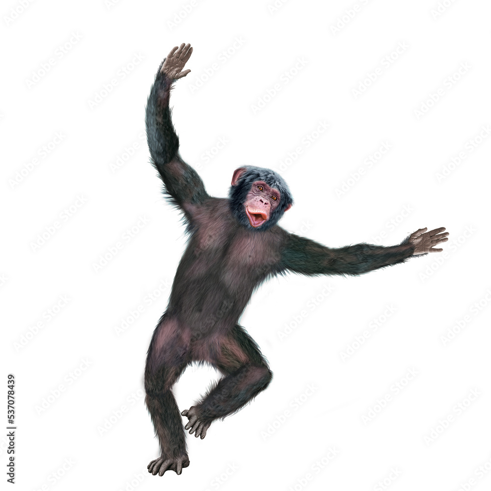 chimpanzé, attitude, mouvement, gesticule, singe, expression, mammifère, jardin zoologique, illustration, animal, fourrure, bonobo, nature, sauvage, faune, drôle, chimpanzé, attitude, mouvement, gesticule, singe, expression, mammifère, jardin zoologique, illustration, animal, fourrure, bonobo, nature, sauvage, faune, drôle,