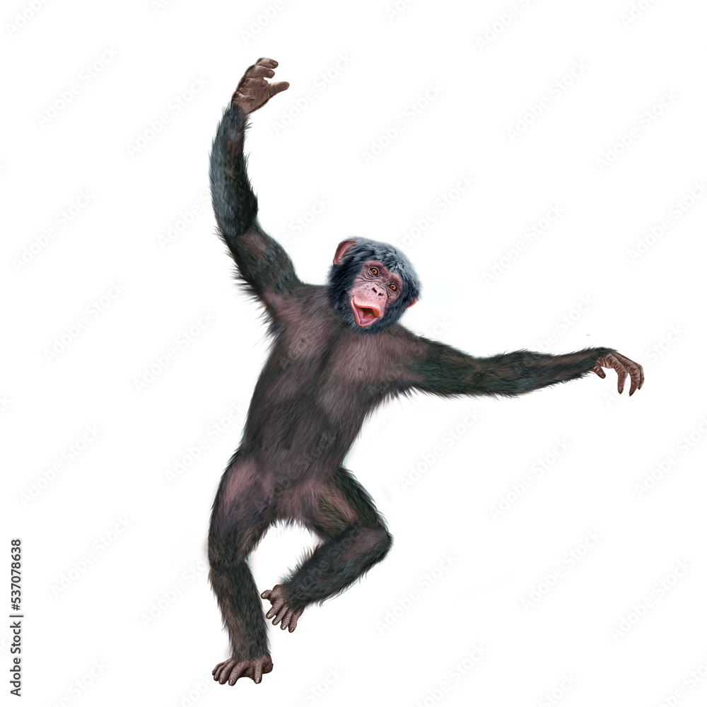 chimpanzé, attitude, mouvement, gesticule, singe, expression, mammifère, jardin zoologique, illustration, animal, fourrure, bonobo, nature, sauvage, faune, drôle, chimpanzé, attitude, mouvement, gesticule, singe, expression, mammifère, jardin zoologique, illustration, animal, fourrure, bonobo, nature, sauvage, faune, drôle,