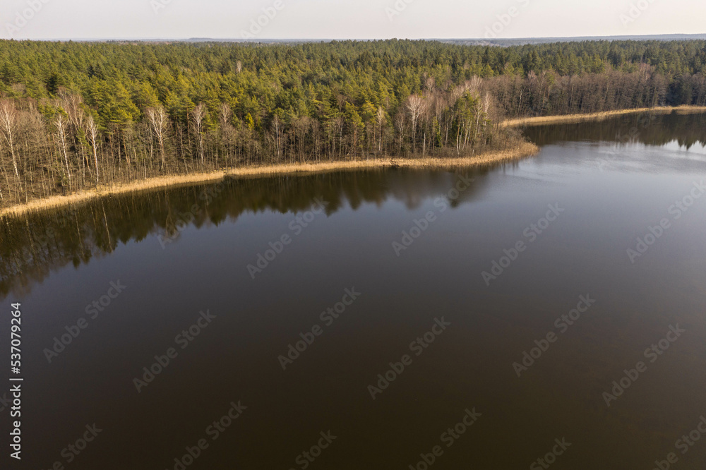 Drone view of forest lake with reflection trees