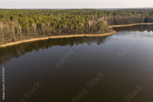 Drone view of forest lake with reflection trees