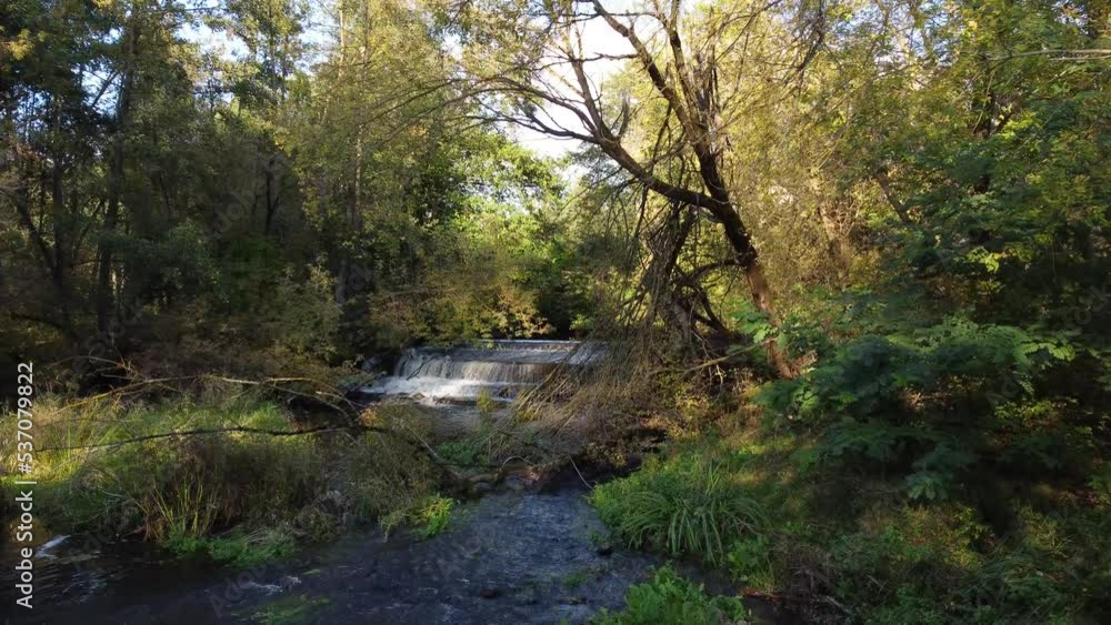 A view of a small, wild river in central Poland. A view of a small, wild river in central Poland.