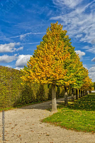 a park with colorful trees in the indian summer a good place for walking