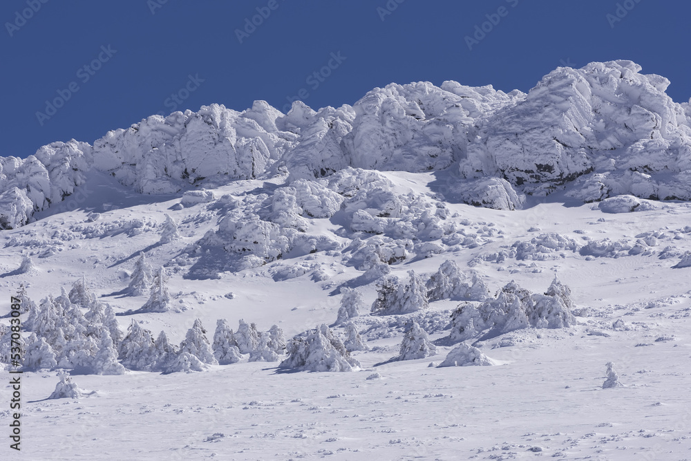Obraz premium Montaña con pinos nevados en Madrid