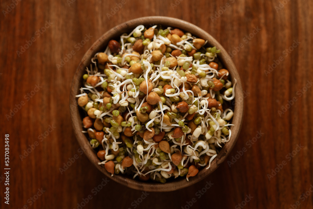 Close-up of A mix of organic sprout seeds sprouting ( germinating) bowl contains almond, groundnut, black gram, wheet, fenugreek and mung beens, in bowl in the studio Close-up of A mix of organic sprout seeds sprouting ( germinating) bowl contains almond, groundnut, black gram, wheet, fenugreek and mung beens, in bowl in the studio