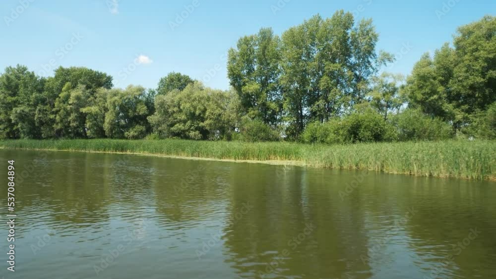 Shot in motion of the shore from the boat, summer, water green trees. Shot in motion of the shore from the boat, summer, water green trees.