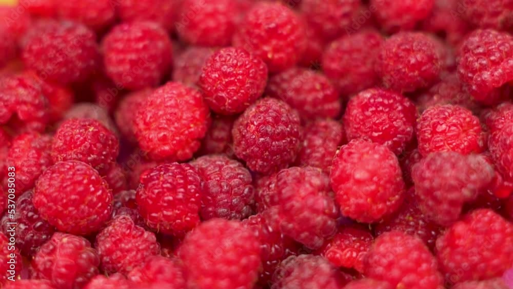Ripe Raspberries, Summer Red Berries Close Rotation Top View. Background from Useful Raspberry. Vegan Healthy Food. Ripe Raspberries, Summer Red Berries Close Rotation Top View. Background from Useful Raspberry. Vegan Healthy Food.