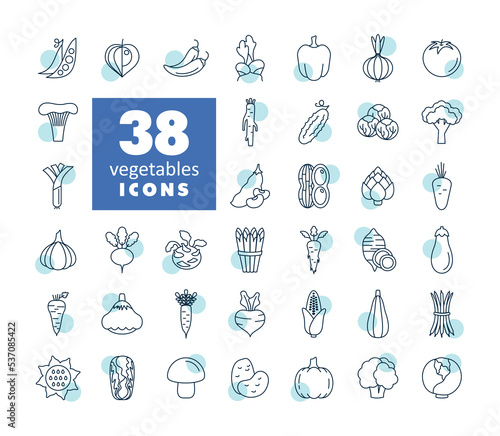 Vegetables outline isolated vector icons set