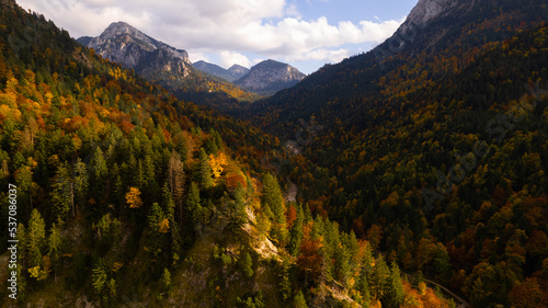 landscape in autumn