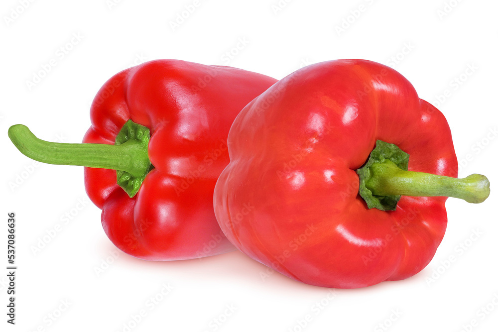Red pepper on an isolated white background.